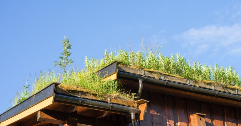 Une toiture végétalisée installée sur une maison en bois. 