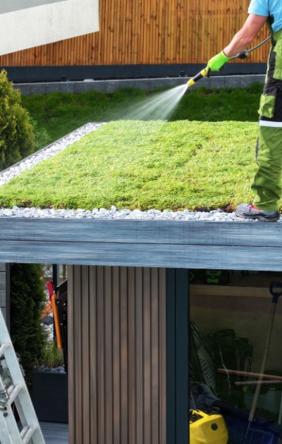 Ouvrier qui arrose un toit végétal vert sur un abri en bois avec des graviers. 