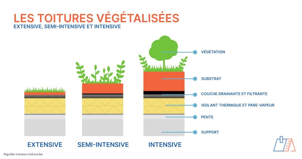 Schéma des trois types de toitures vertes : toiture végétalisée extensive, semi-intensive ou intensive