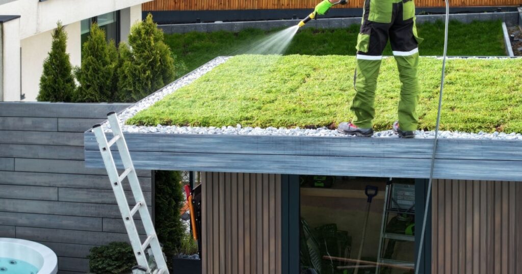 Un homme arrose la toiture végétalisée d'un particulier après l'installation. 