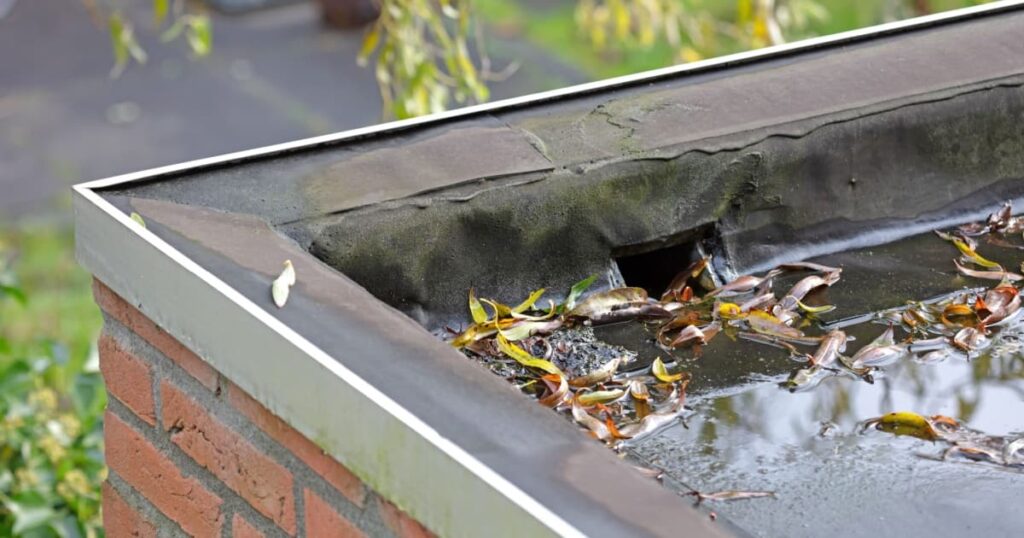 zoom sur toit plat avec des feuilles et de l'eau